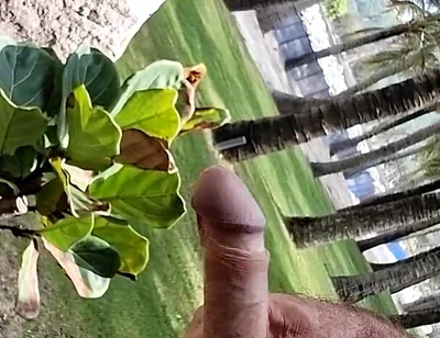 Public Beach Cock Flash