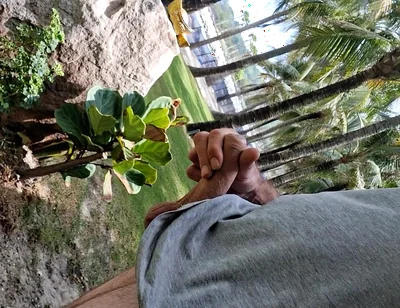 Public Beach Cock Flash