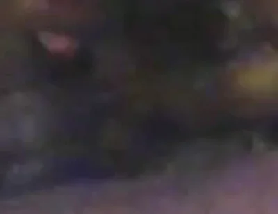 Thought was cowboy, But wrong Branco