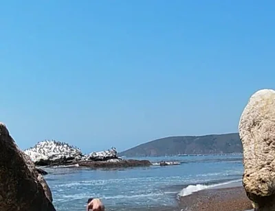 Sexy Time at the Nude Beach at Pirates Cove!