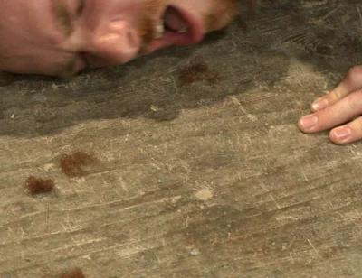 The Official Greeting of the Dom of the House