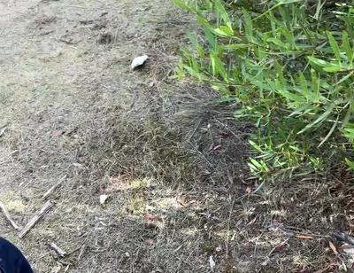 Cruising Adventures: Ep. 3, Madrid Outdoor Suck and Fuck Latino Guy and His Boyfriend