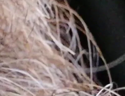 Kissing, Spitting on and Fucking My Stunt Mouth