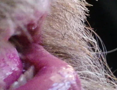 Kissing, Spitting on and Fucking My Stunt Mouth