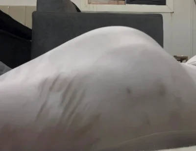 Verticalargument4tight Dress