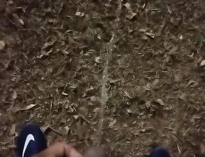 Outdoor Sex, of All Sexualities, Is Now Allowed in My Condominium