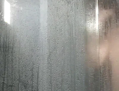 See What I Did in the Shower, Caught in the Act by the Other Guys