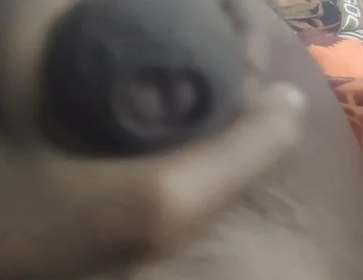 Aunty's Pussy Became Wet After Seeing My Penis.