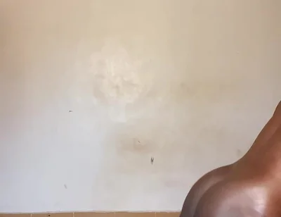 The Rough Prince