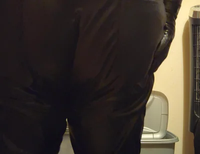 Creaking in My New Leather Trousers