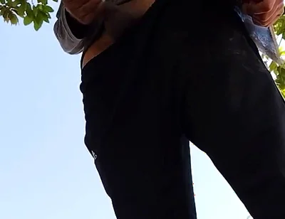 A Normal Day in the Park