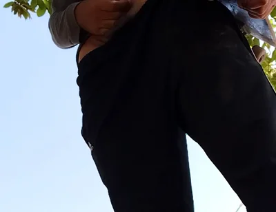 A Normal Day in the Park