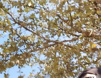 Me in the Park Alone Giving Pleasure to Till I Get Milk