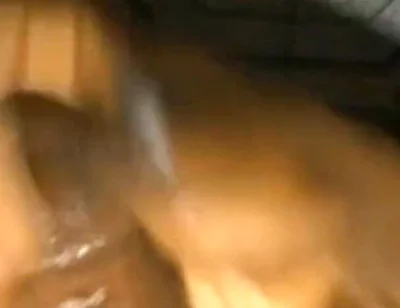 Solo Dick Massage Intense Cumshot