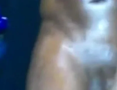 Squeezing Swinging My Big Hard Cock