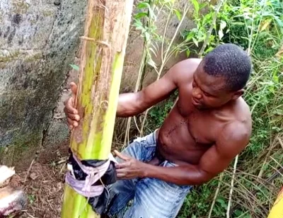 F*** Your Health Dick Out of the Cook