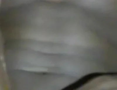 Teasing Slapping My BBC Jerking off Cumming Hard