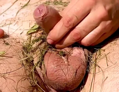 Caressing the Dick, Under the Summer Sun.