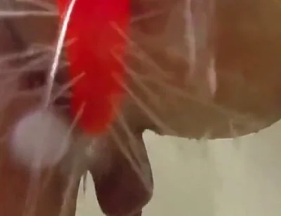 Using a Shower Spray Dildo