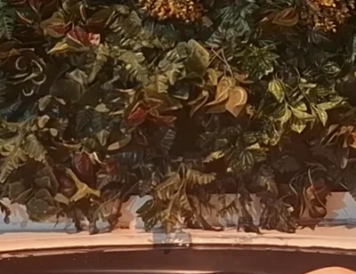 Bath Time Challenge - Bear Control in the Tub