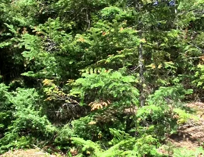 An Outdoor Cum Eruption!