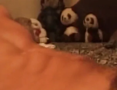 Throbbing Cock Deepthroat Gagging Till Drooling Mess