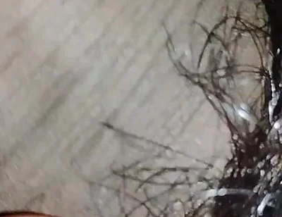 Indian Desi Boy Penis