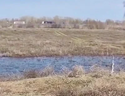 Fuck Me on the Side of the Road, Shove a Big Cock with Cum up My Ass