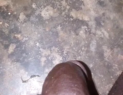 I Own Weak White Bois with My Superior