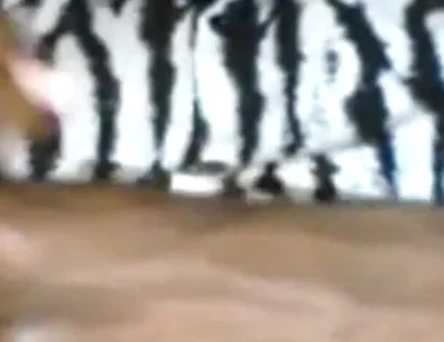 Passionately Stroking Edging My BBC Moaning Groaning