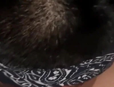 Watches Boyfriend's Long Deep Oral Session