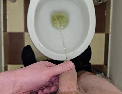 Pissing to the Toilet