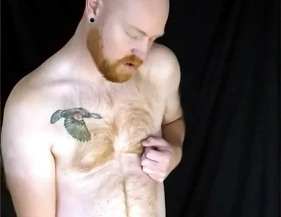 You Like Lookin' at This Fuzzy Ginger Fella?