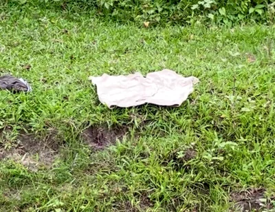 Enjoying Alone in Jungle Indian Young Boy