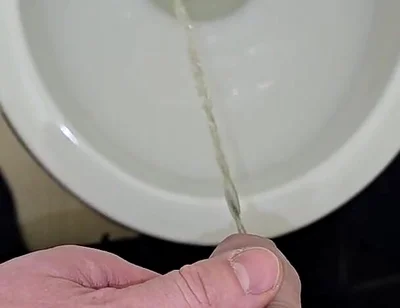 Pissing to the Toilet