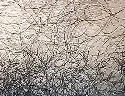 Indian Gay Boy Outdoor Masterbtion with Kissing Lip