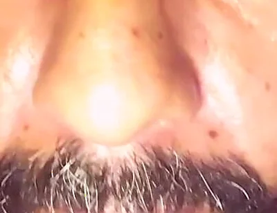 Grey Boxer and White Socks Full Vid