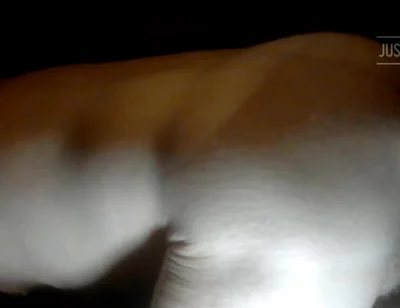 Anal Masturbation with Dildo