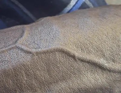Stiff BBC Flashing