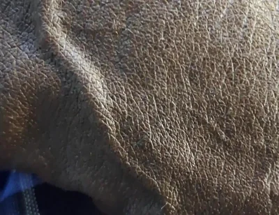 Veiny BBC Flashing