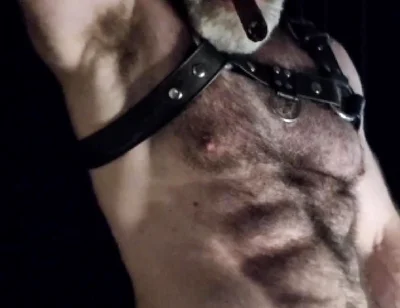 Hairy Muscle Leather Stepdaddy Showing off