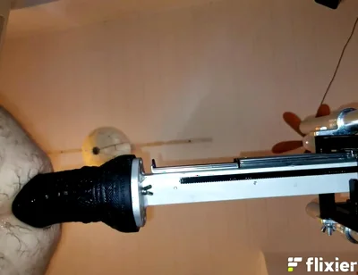 Mr. Hankey's Dragon Dildo Xl Full Insertion Doggy Anal Fucking Machine