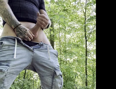 Hot Break in the Forest