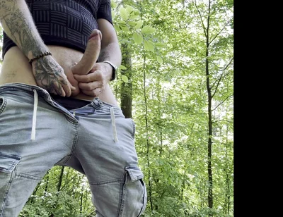 Hot Break in the Forest