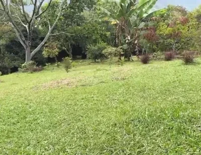 Horny Guy with Glasses Shows You His Morning Erection and Masturbates Outdoors - Andcristian