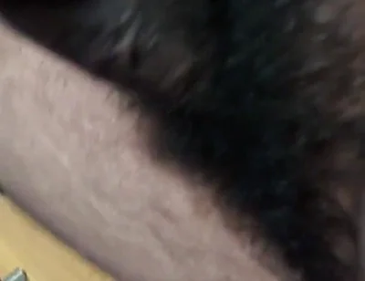 Telugu Abbayi Video