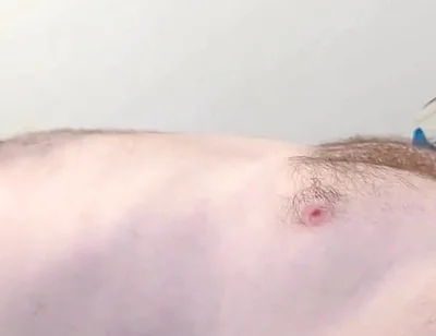 Stepdaddy Bear Fucked by Young White Bear