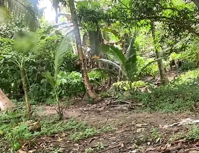 Young Pinoy Twink Jerks off Secretly Outdoors