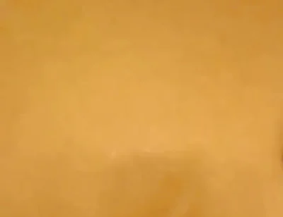 Black Cock Shots