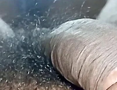 Tamil Wife Horny and Pussy Licking